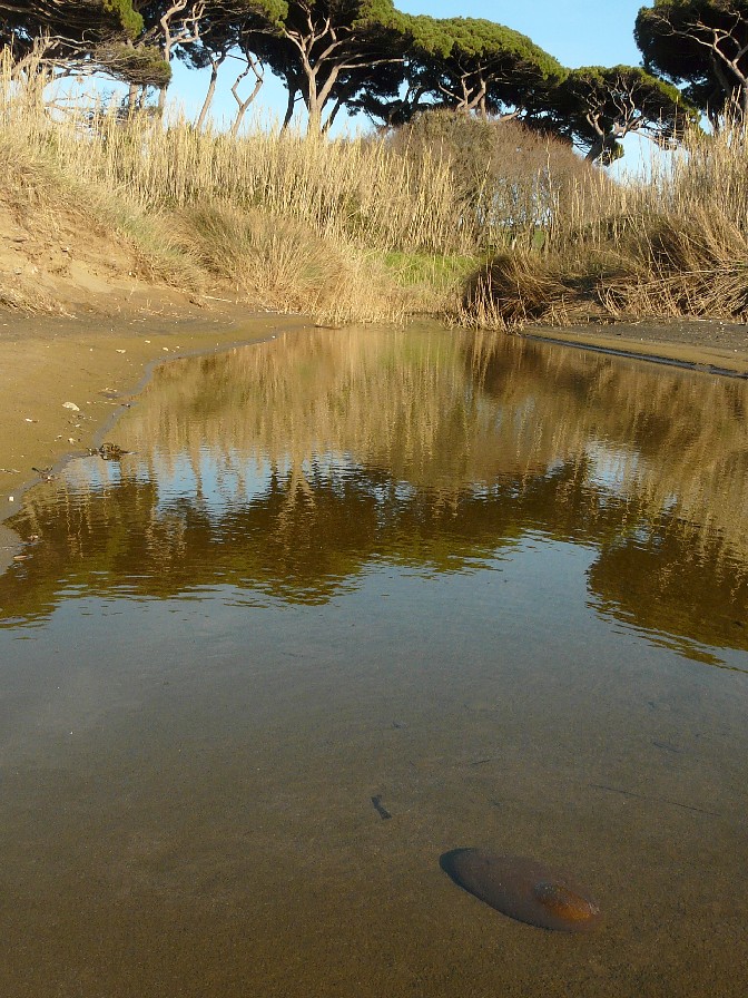 I fossi e lo stagno di Baratti (Piombino - LI)